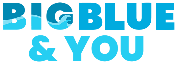 Big Blue & You Inc