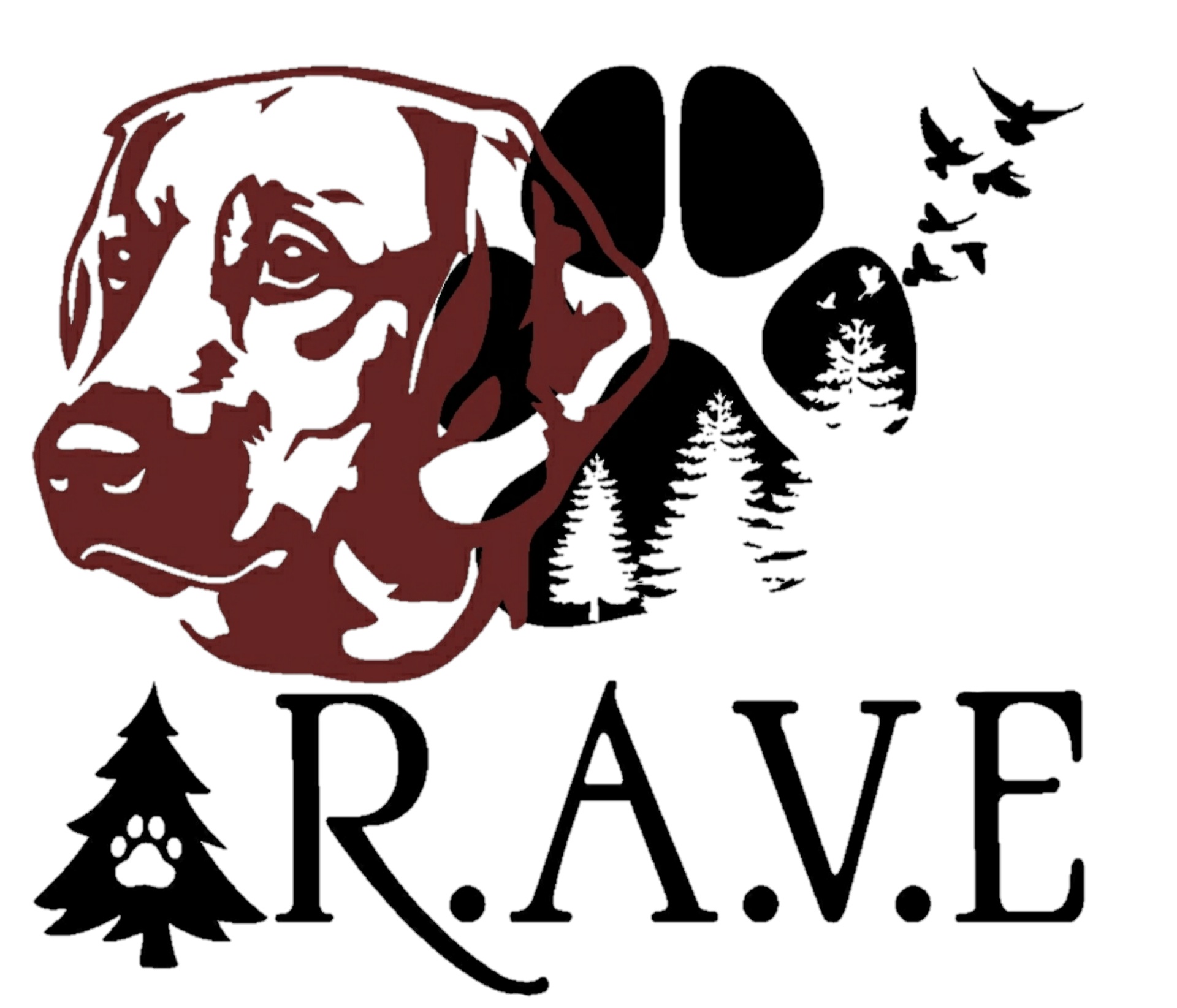 Fundraiser by RAVE Rural Animal Volunteer Effort : Support RAVE's ...