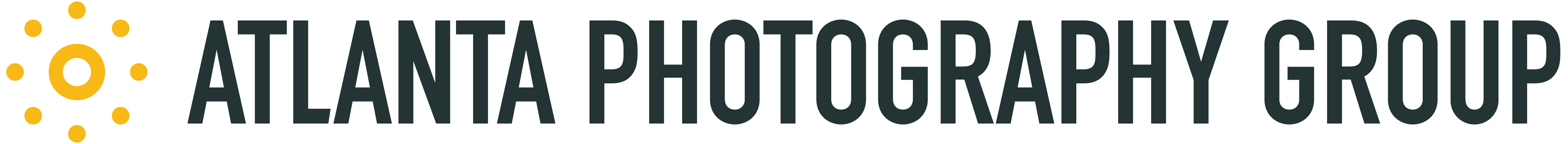 Atlanta Photography Group Inc logo