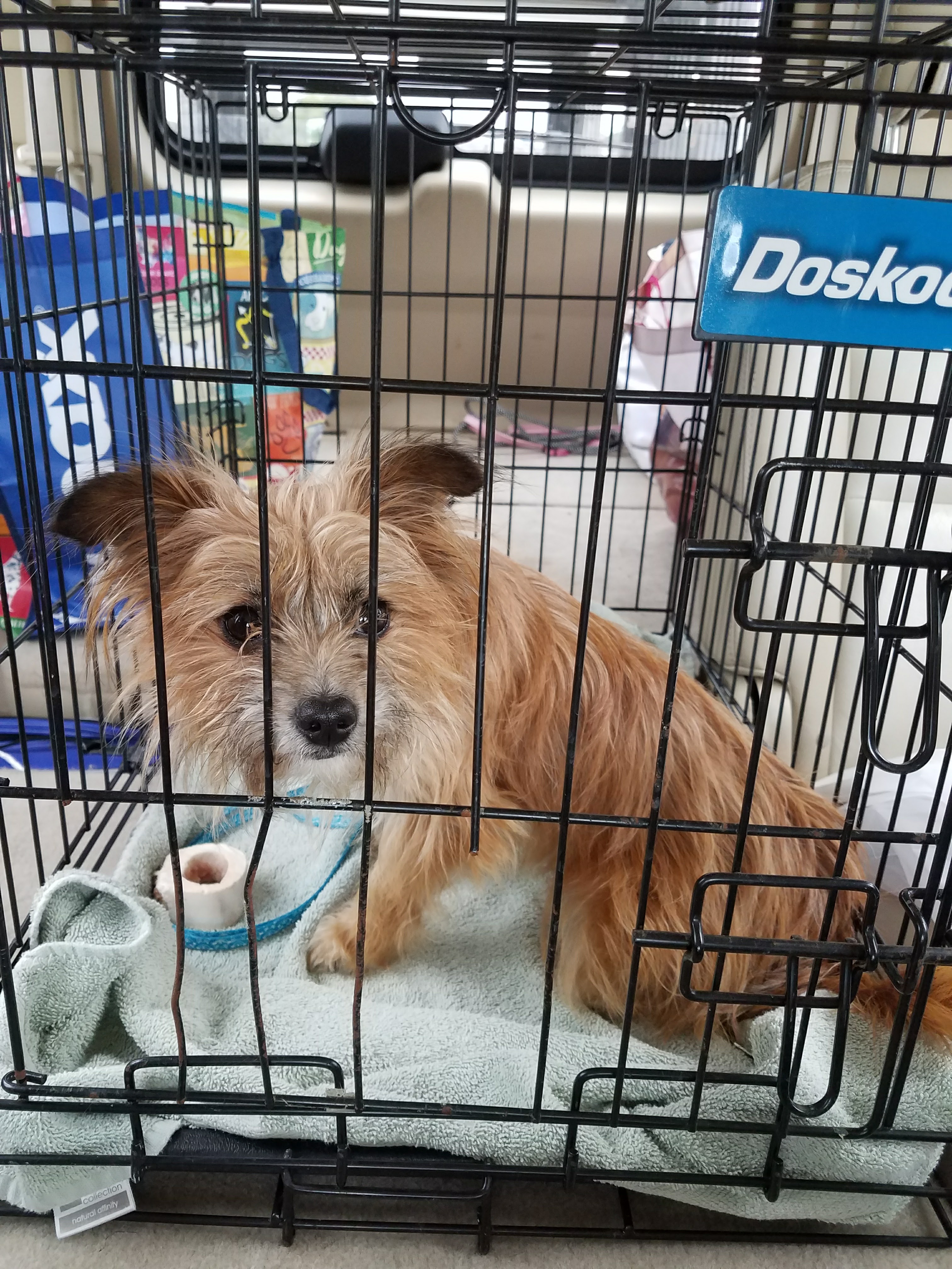 Fluff Animal Rescue Inc - GuideStar Profile