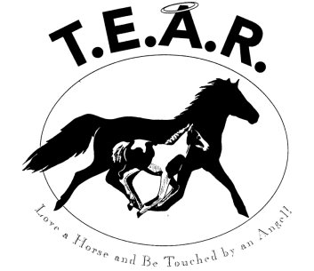 Tri-State Equine Adoption & Rescue, Inc. logo