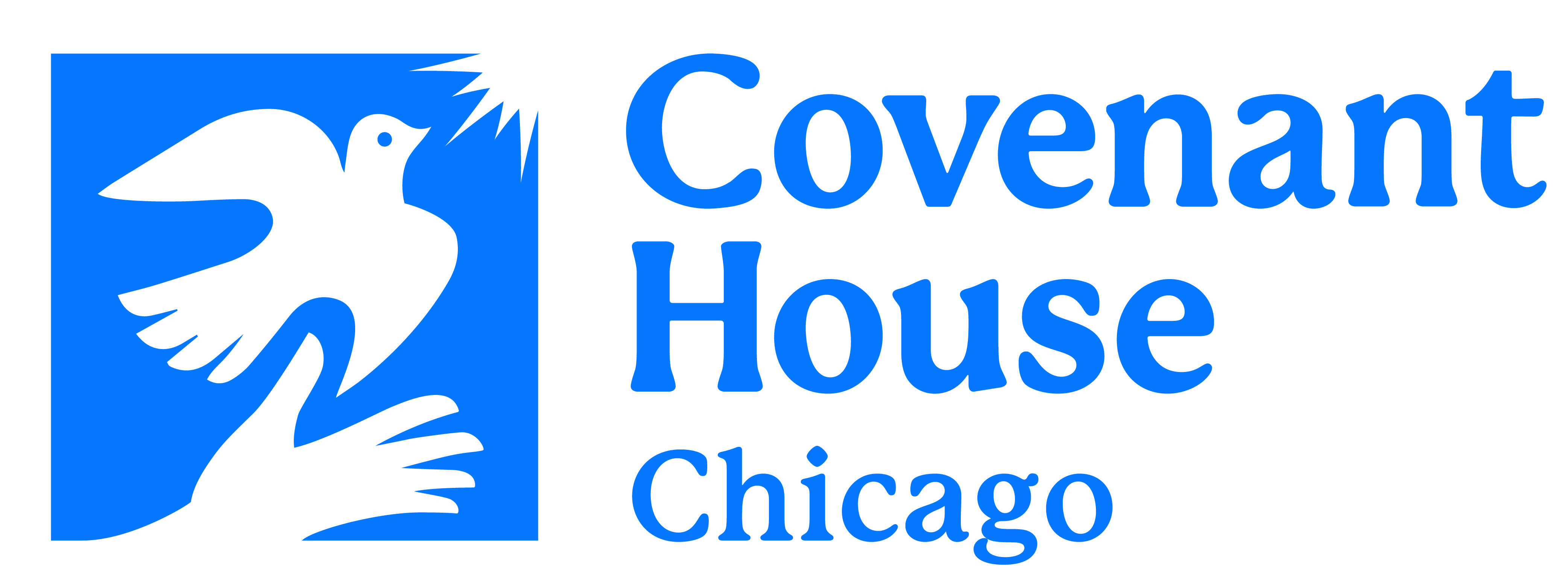 Covenant House Illinois Inc