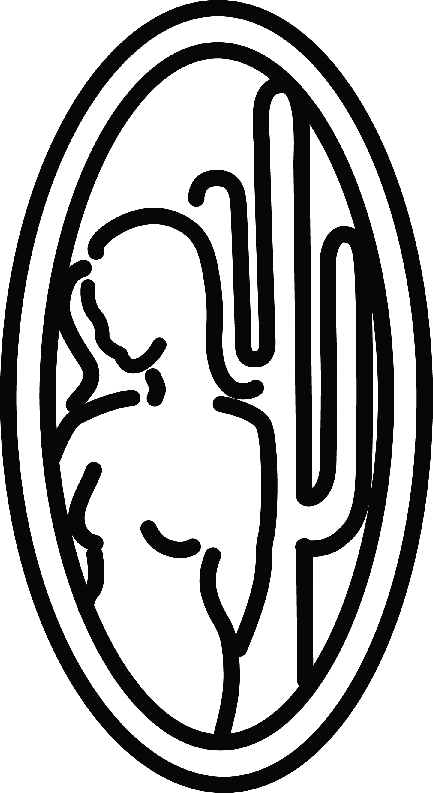 Desert Cancer Foundation of Arizona Inc (DCFA) logo