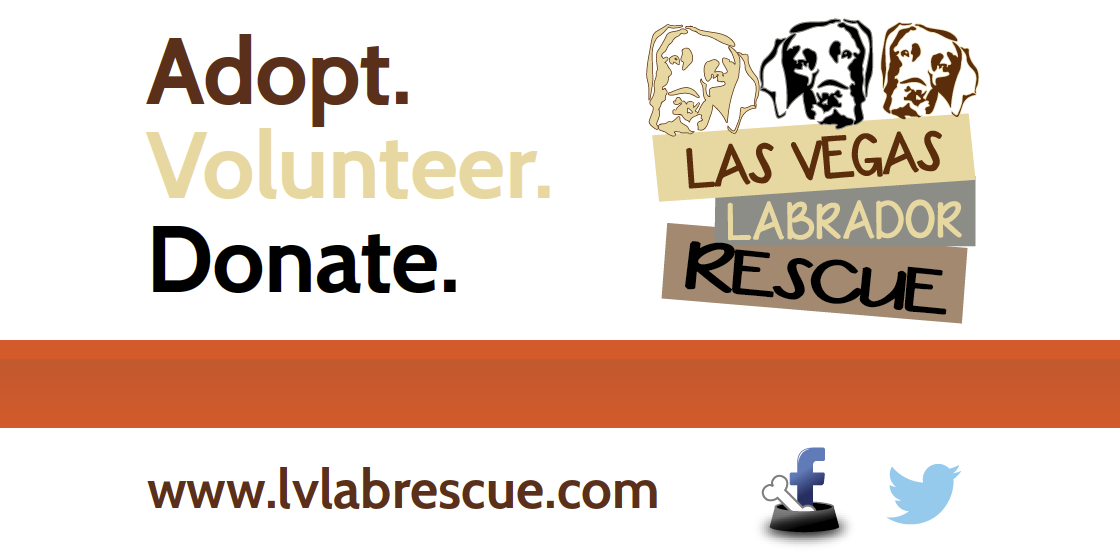 Las Vegas Labrador Rescue