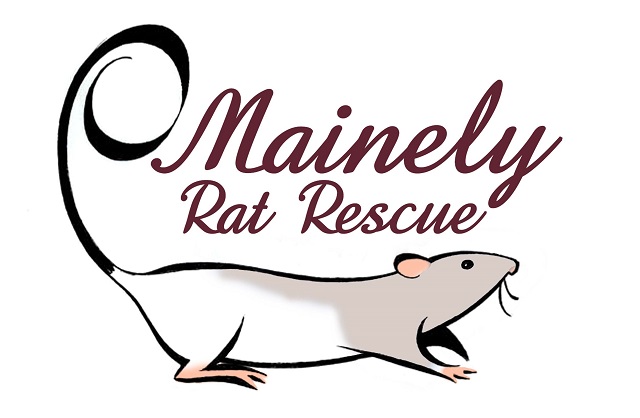 Mainely Rat Rescue