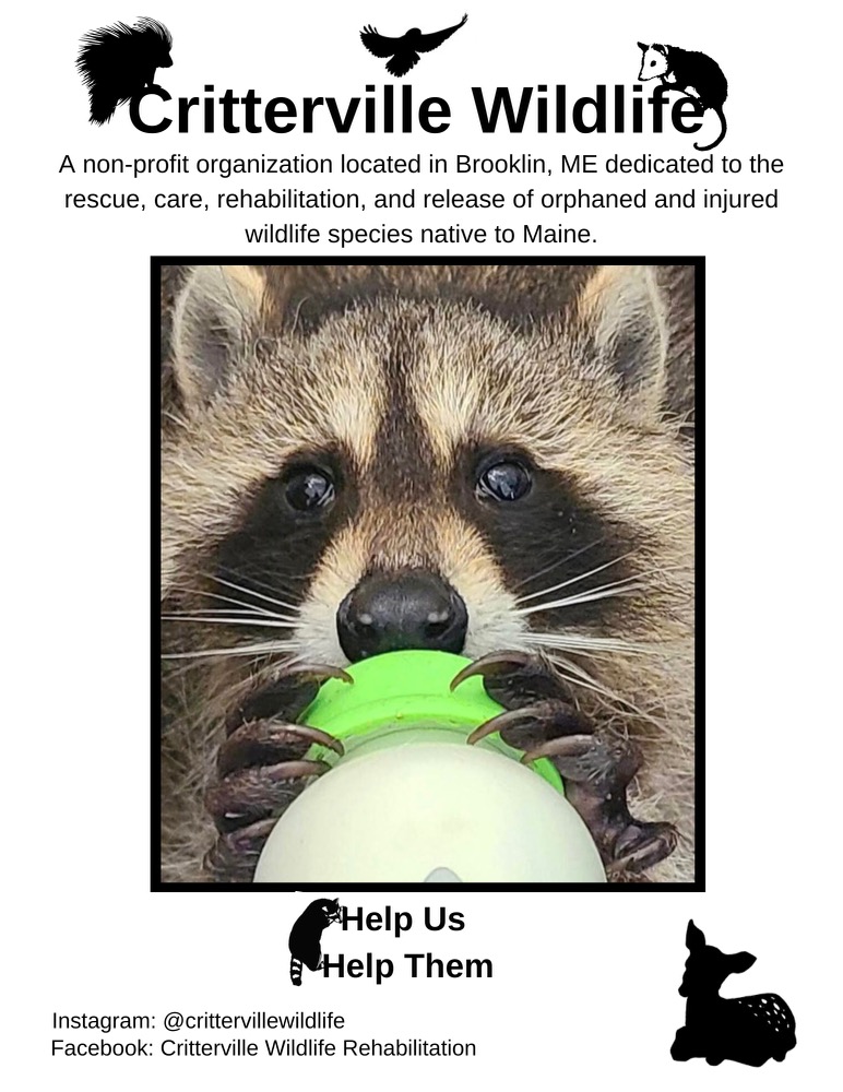 Critterville wildlife rehabilitation center logo