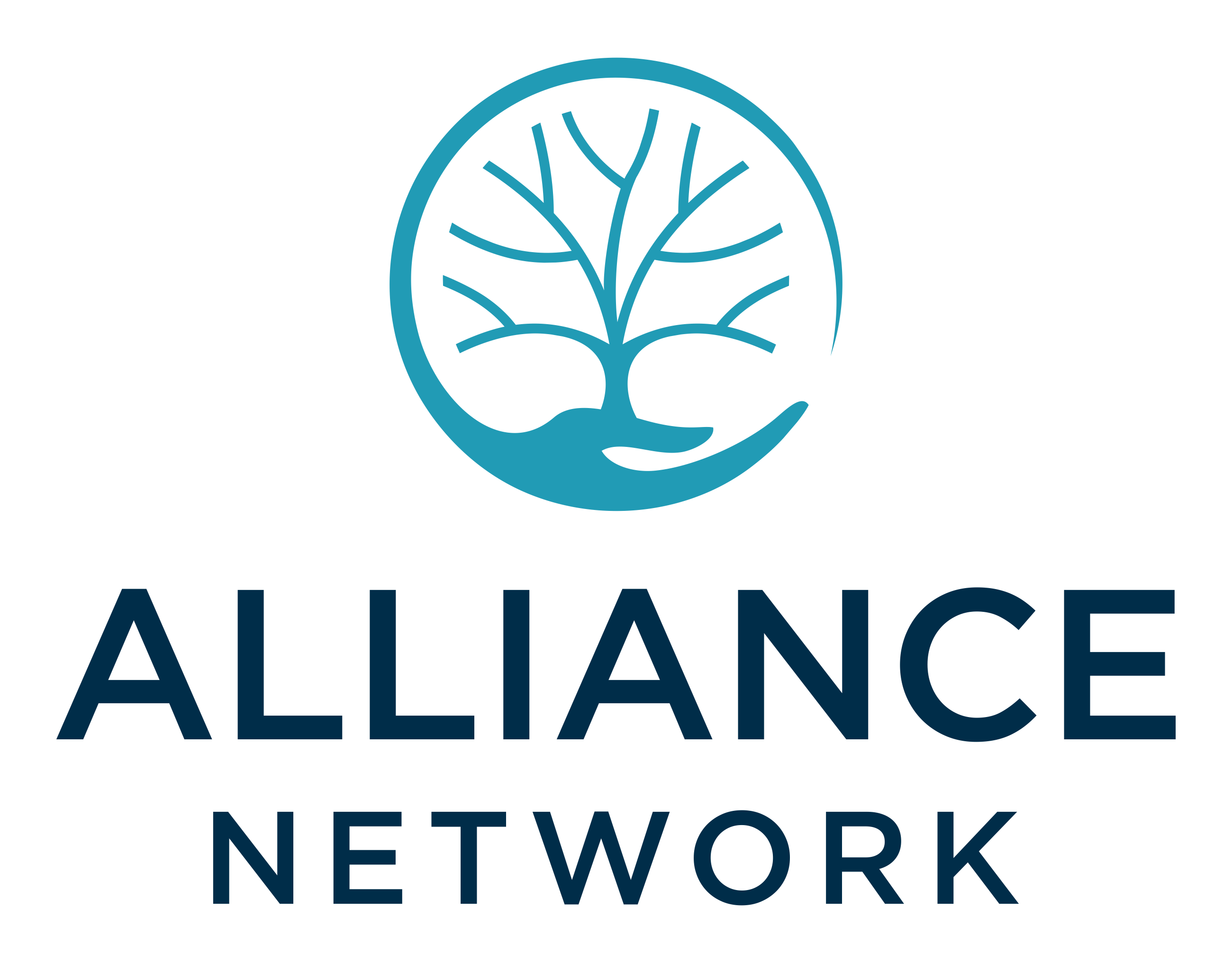 Alliance Network Inc logo