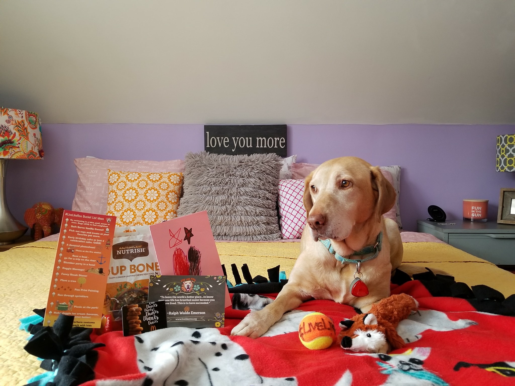 Live Like Roo Foundation - GuideStar Profile