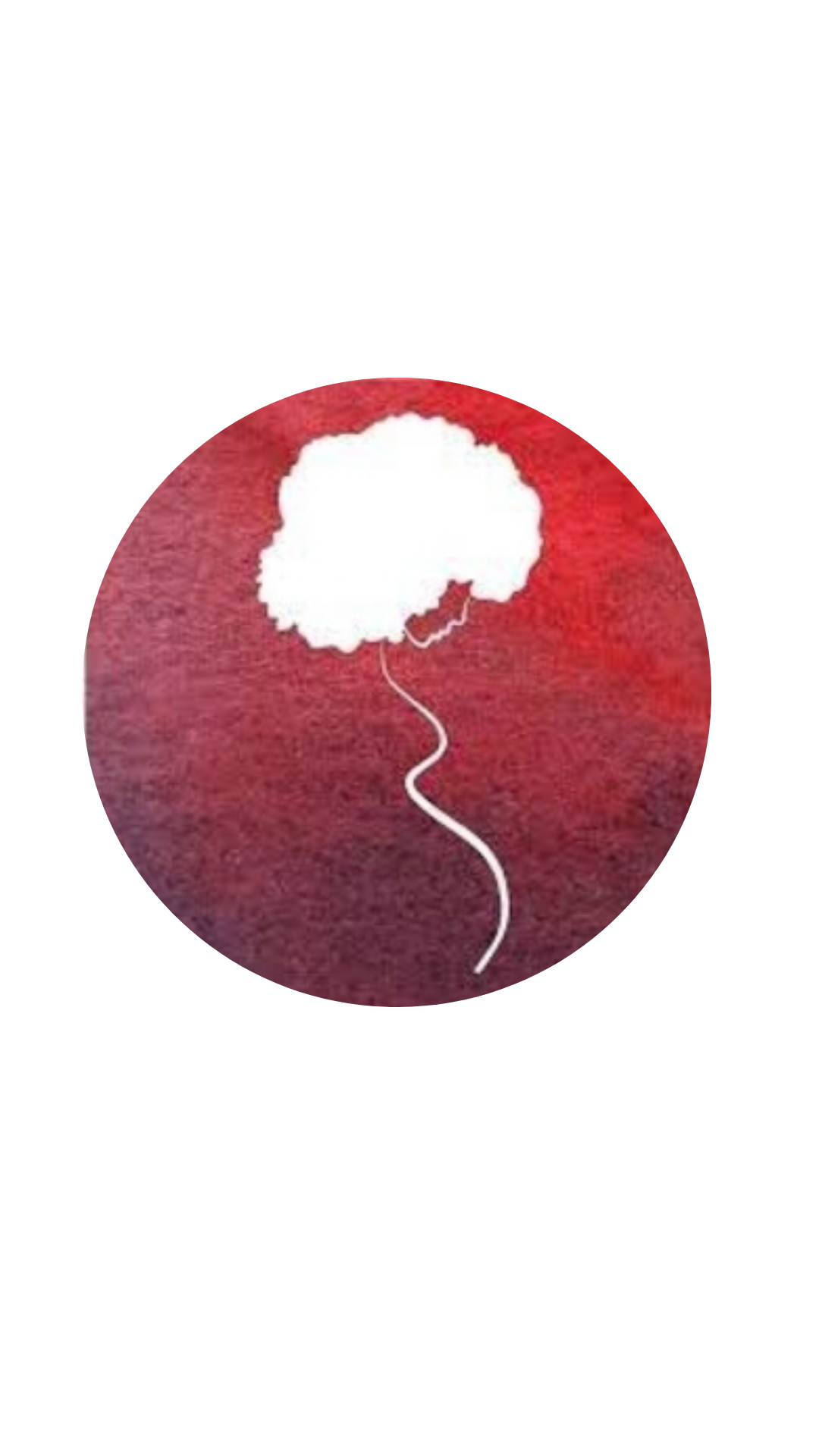 Black Mamas Matter Alliance Inc