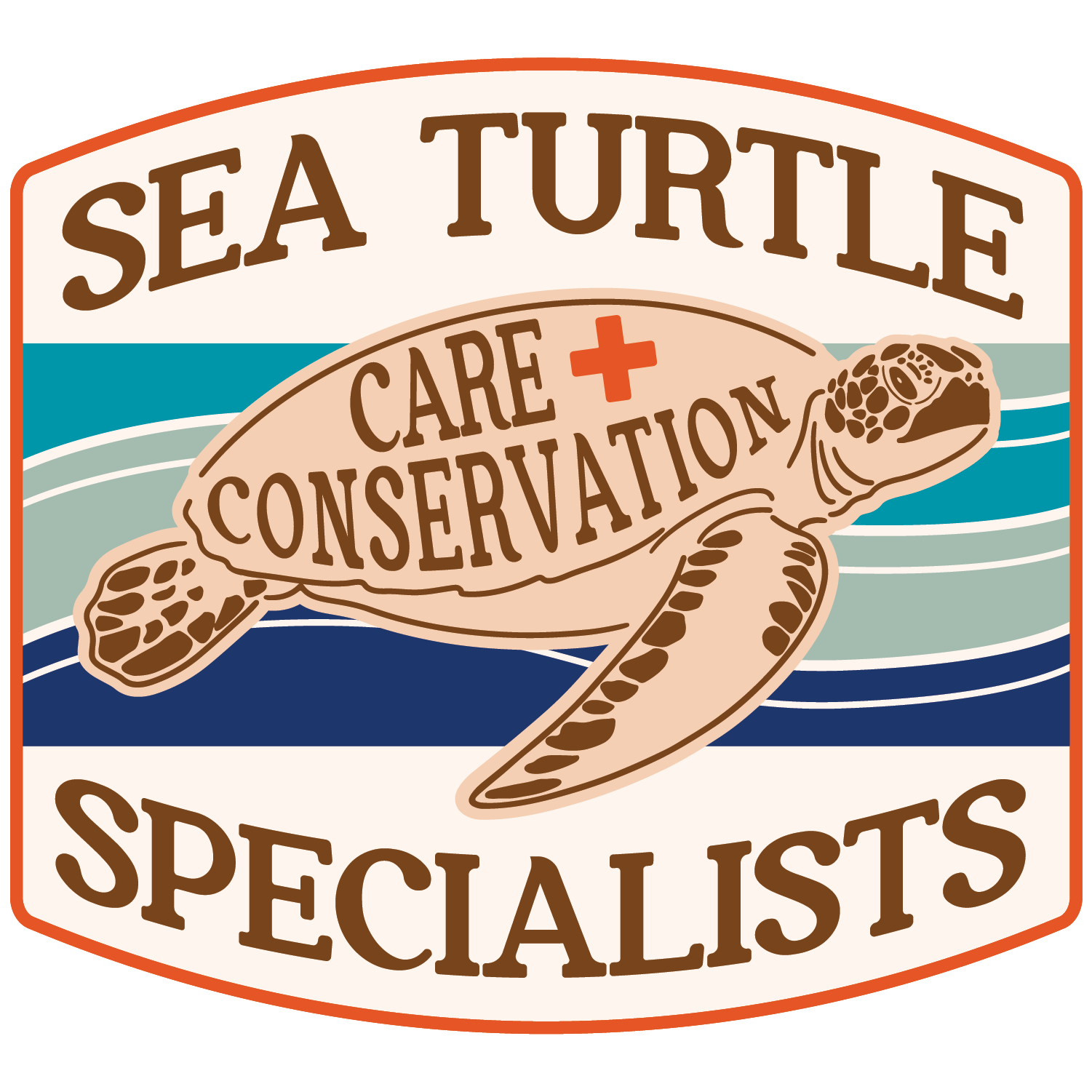 Sea Turtle Care & Conservation Specialists Corp. logo