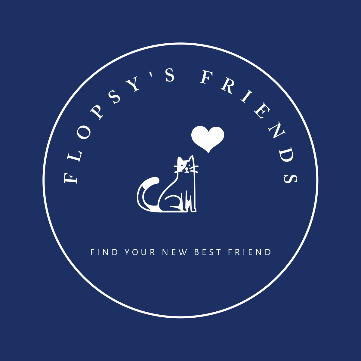 Flopsys Friends Foundation - GuideStar Profile