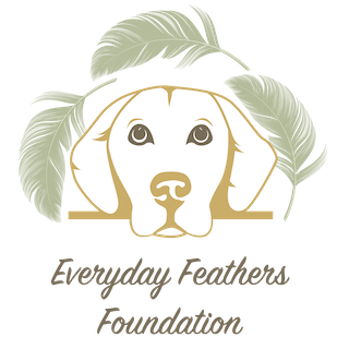 Everyday Feathers Foundation, Inc. logo