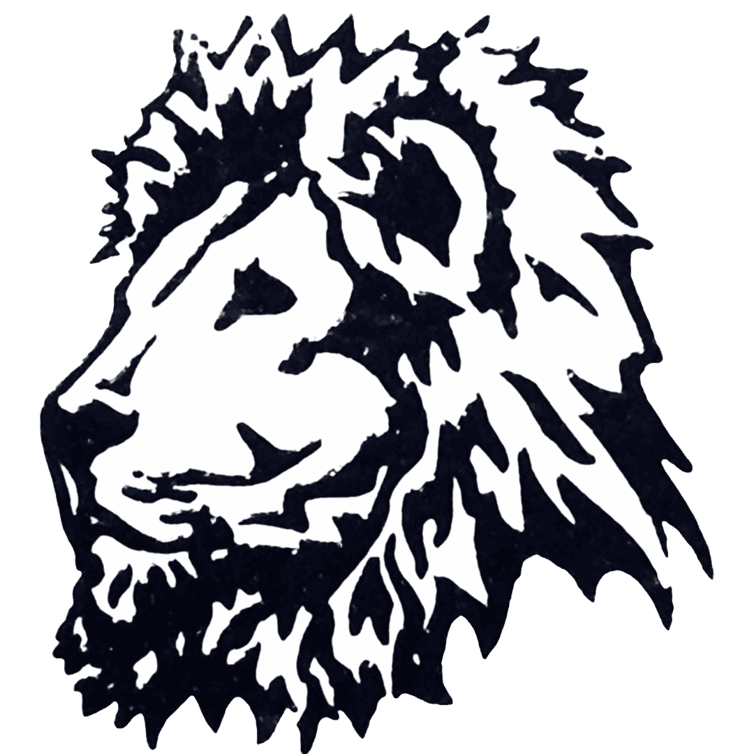 Our New Vision for Africa logo