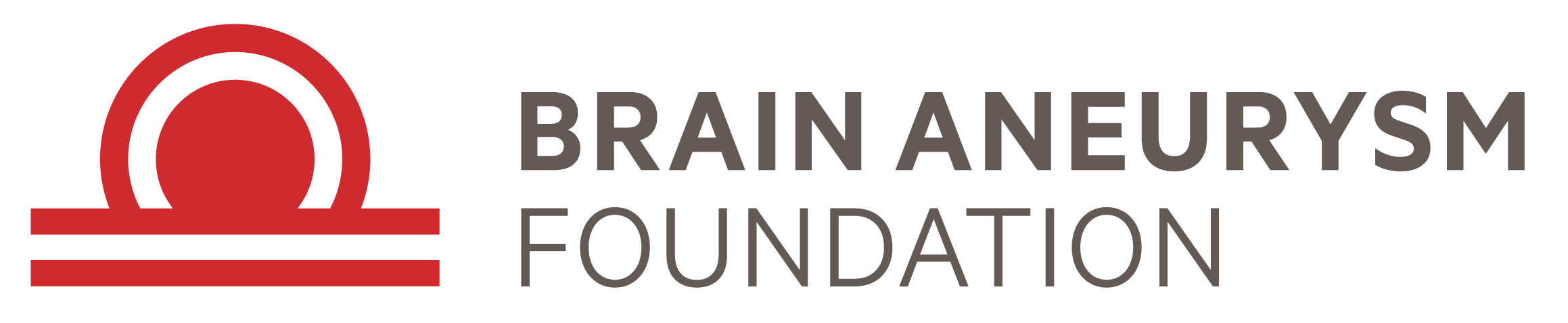 The Brain Aneurysm Foundation Inc