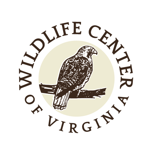 Wildlife Center of Virginia