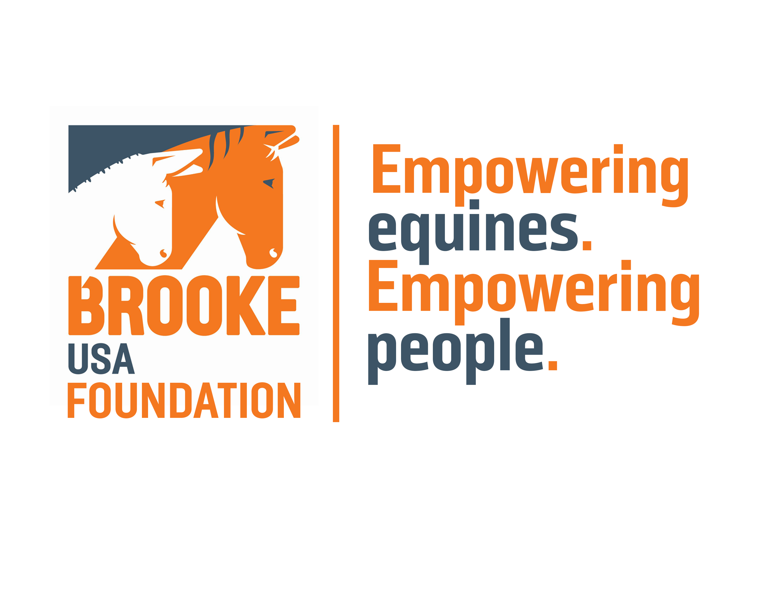 BROOKE USA INC logo