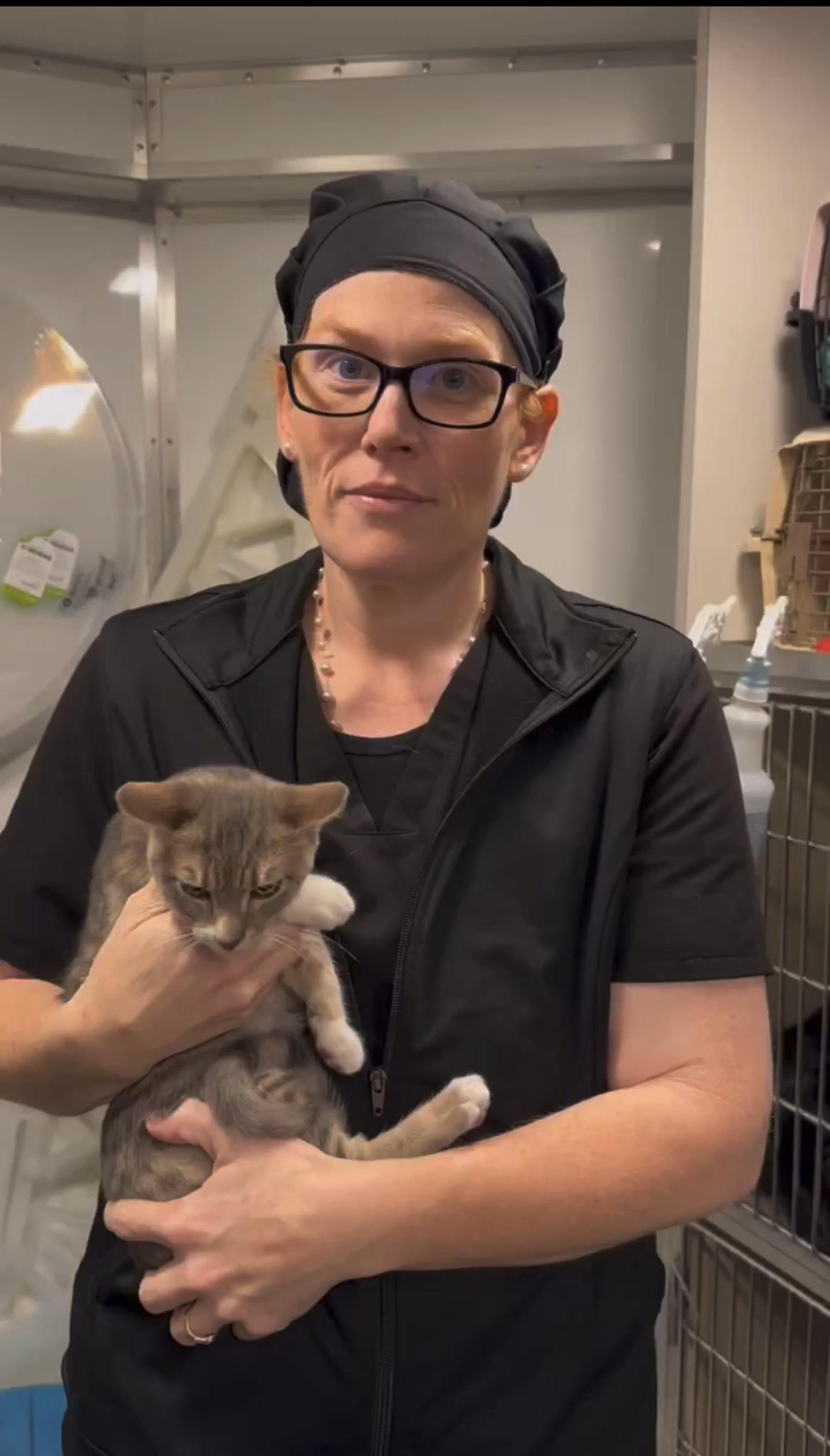 SPAY NEUTER IMPERATIVE PROJECT CALIFORNIA - GuideStar Profile