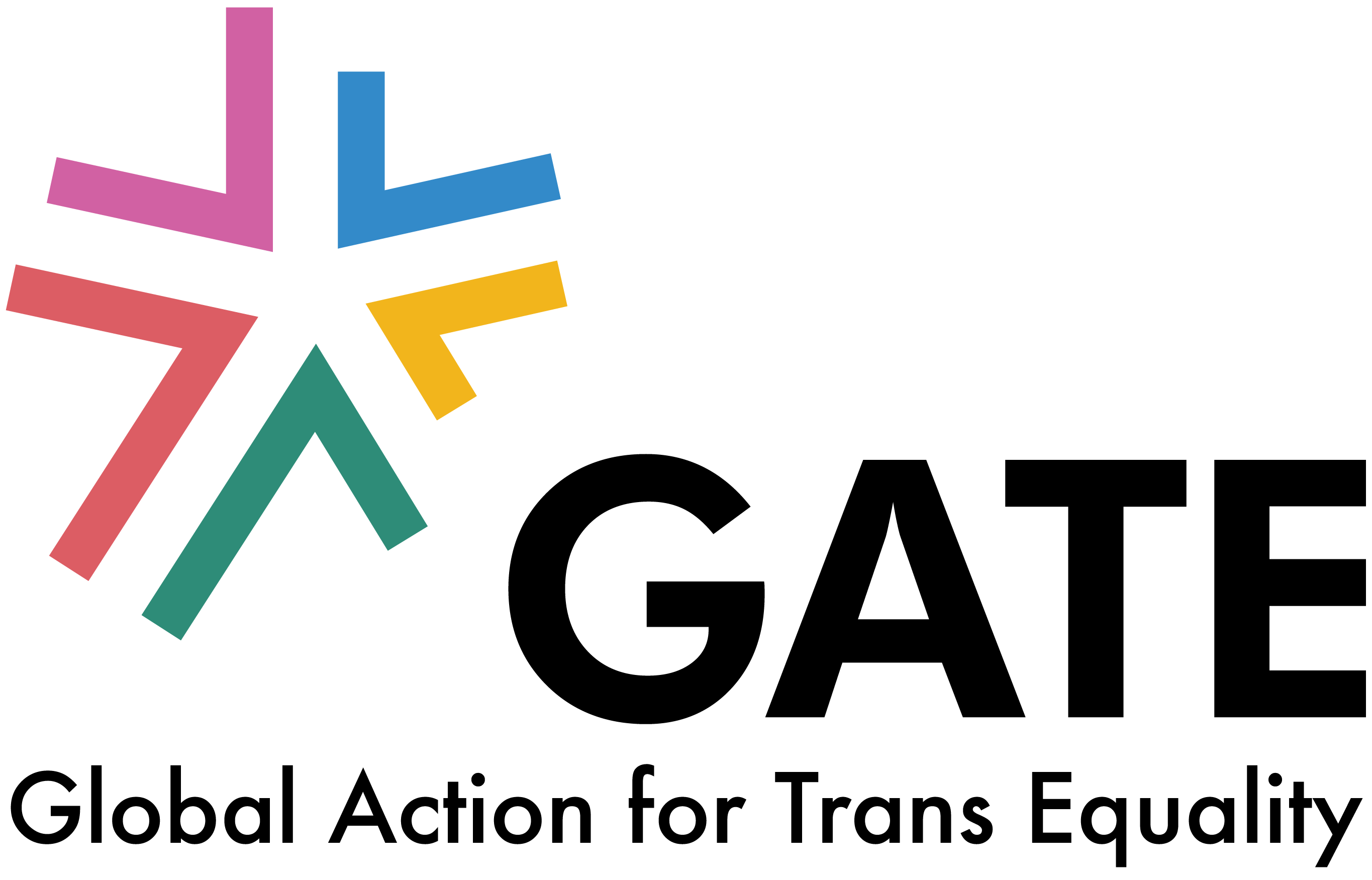 Global Action for Trans* Equality
