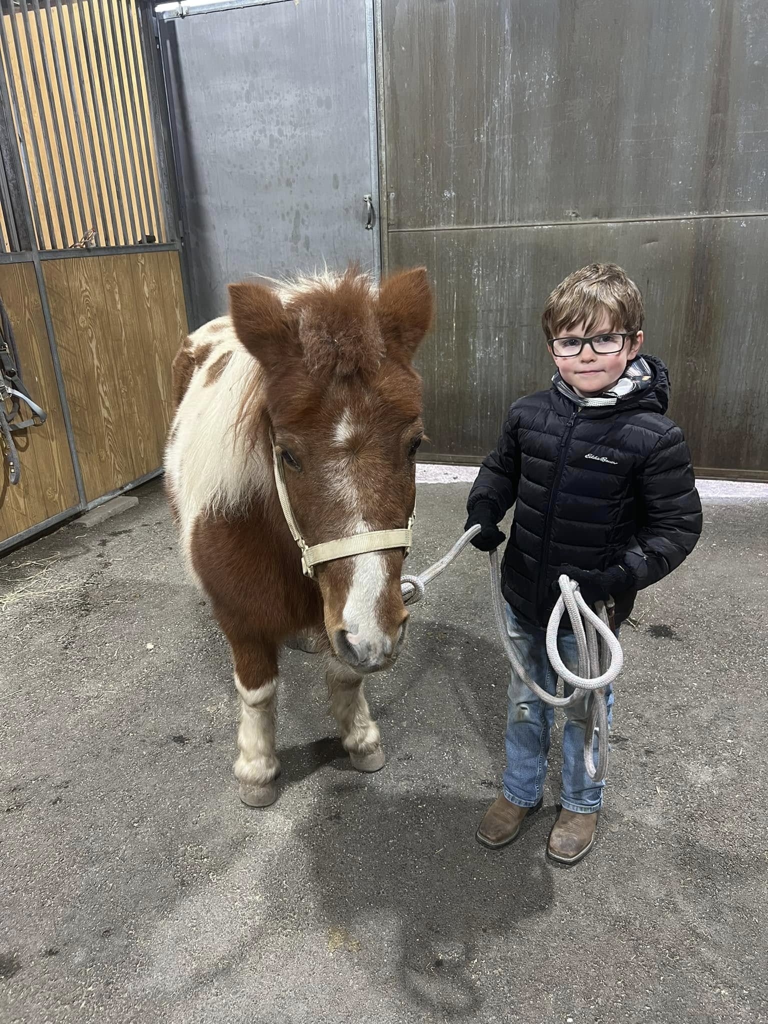 Solid Ground Equine Assisted Activities and Therapy Center - GuideStar ...