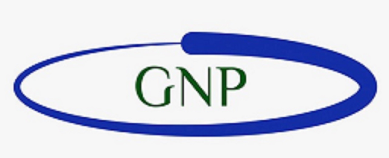 Global Neighborhood Project logo